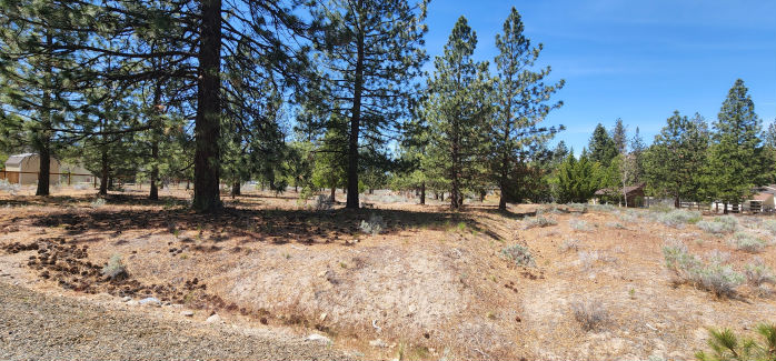 Lot 131 Fisher  , Weed, CA 96094 