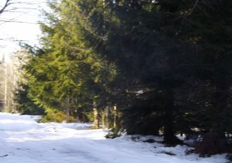 4586 Sanmott Trl Ne , Kalkaska, MI 49646 