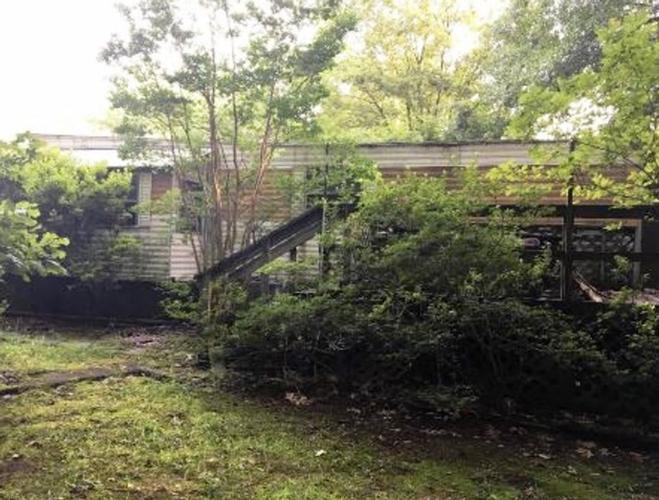 Coleville Rd, Drummonds, TN 38023 #1