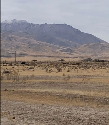 LOT 8 AND 15 SECTION 29 T39N R40E  , Golconda, NV 89414 