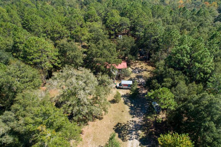 159th Ave, Williston, FL 32696 #1