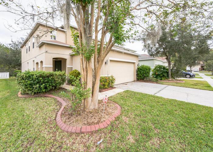 Peppervine Pl, Wesley Chapel, FL 33544 #1