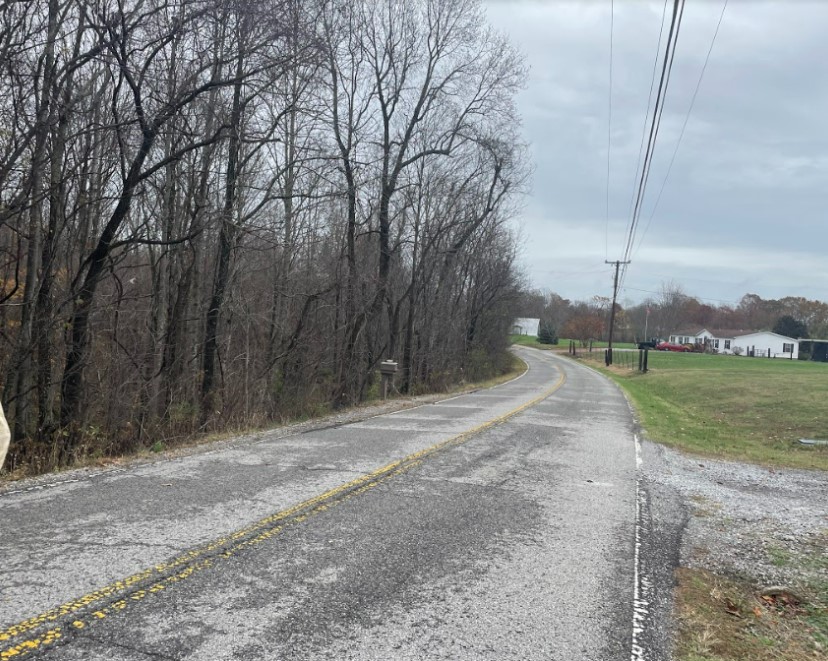 Ivey Point Rd, Goodlettsville, TN 37072 #1