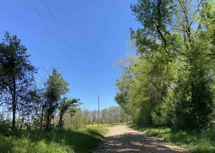 Peale Cross Rd, Monterey, LA 71354 #1