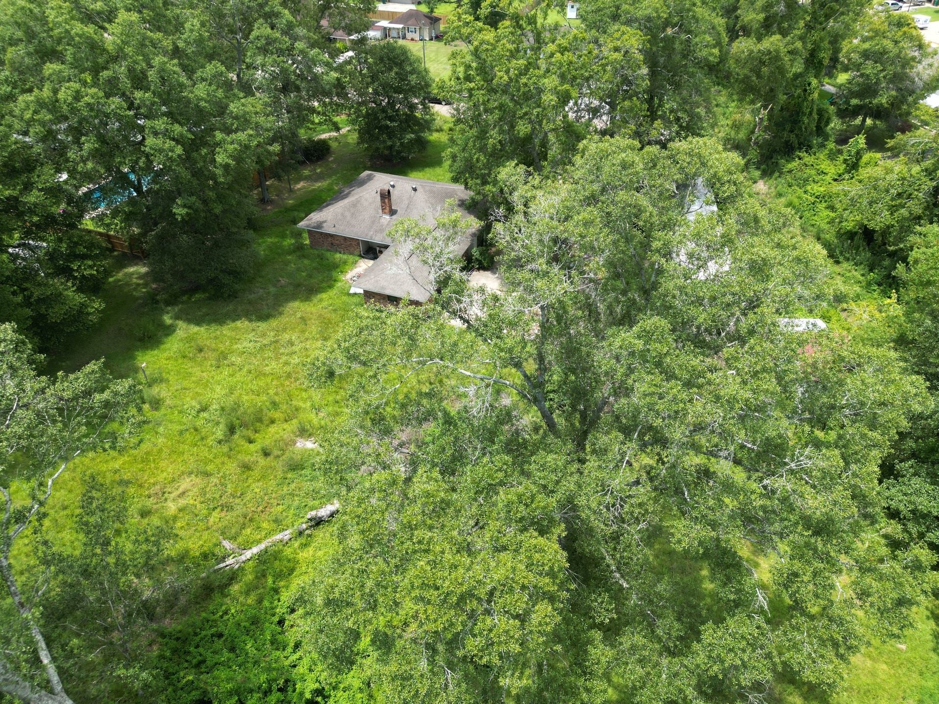 Abundance St, Denham Springs, LA 70706 #1