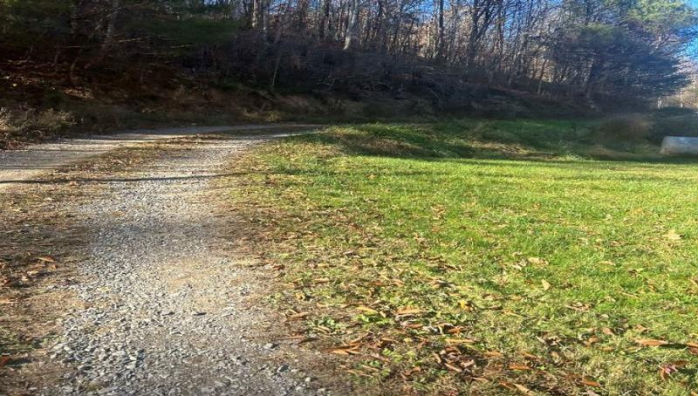 4232 RUSSELL CREEK RD  , Saint Paul, VA 24283 