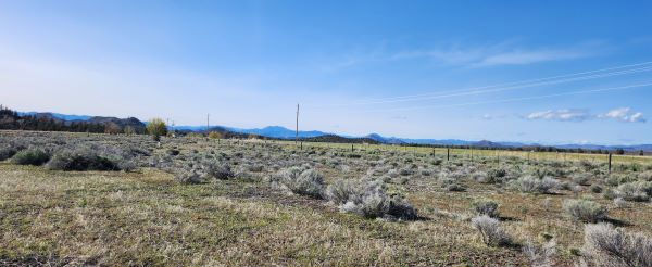 Lot 32 Silver Spur Rd  , Weed, CA 96094 