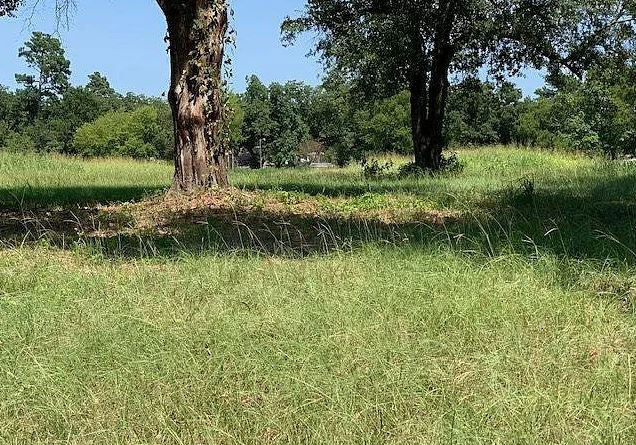 Hill Ave  , Pittsburg, TX 75686 