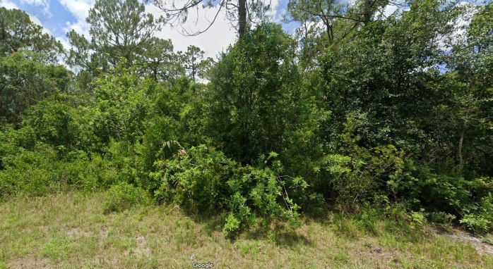 495 TWEED CT  , Lehigh Acres, FL 33972 