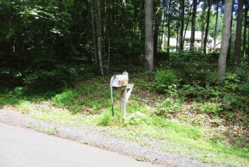 Tinsley Pl, Culpeper, VA 22701 #1