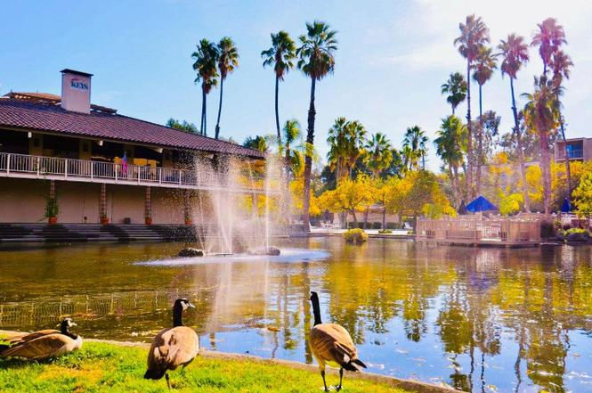 330 N Civic Drive #204 , Walnut Creek, CA 94596 