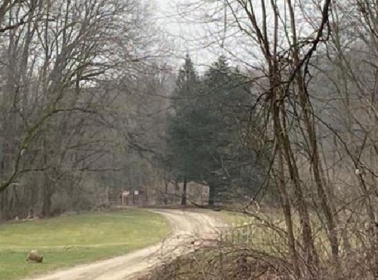 Donohue Rd, Pinckney, MI 48169 #1