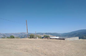 Image not available