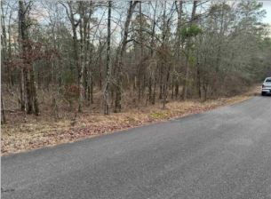 21 Pinito Lane , Hot Springs Village, AR 71909 