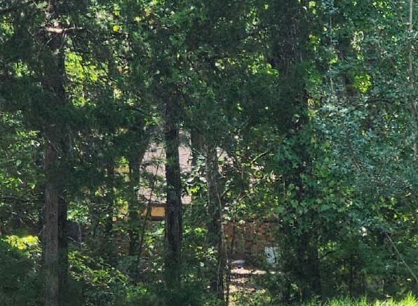 215 GIRL SCOUT RD  , Grenada, MS 38901 
