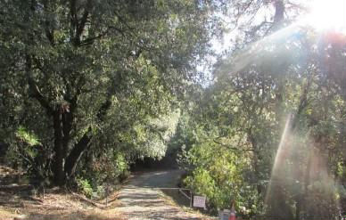 19934 PITTS CT  , Pine Grove, CA 95665 