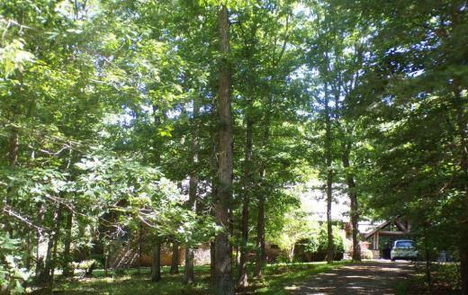 1045 SWEETENS COVE RD  , South Pittsburg, TN 37380 
