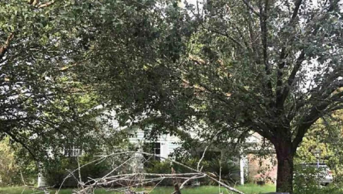 4709 AUGUSTA DR  , Eight Mile, AL 36613 