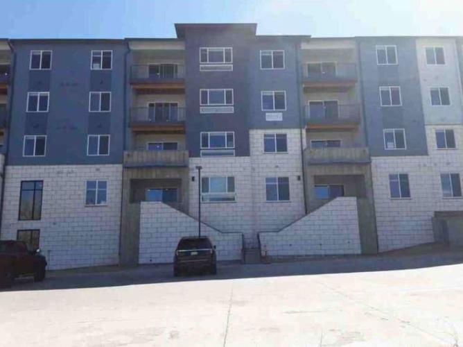9291 TWENTY MILE RD UNIT 207  , Parker, CO 80134 
