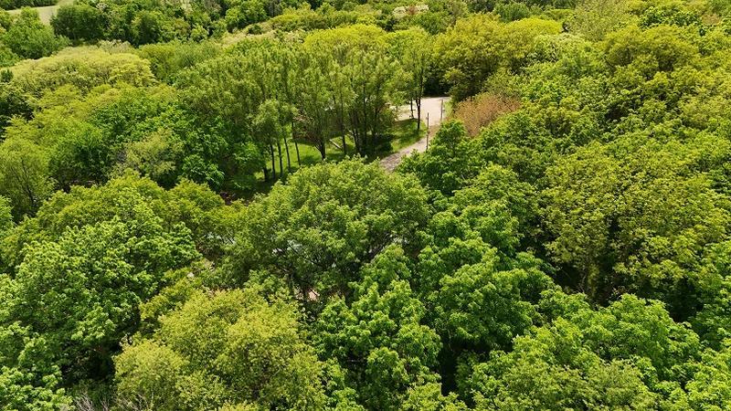 Phelps Dr, Brooklyn, IA 52211 #1