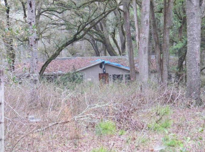 599 E BUCKHORN TRL  , Greenville, FL 32331 