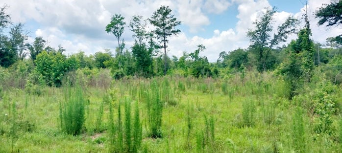 2829 WAGON WHEEL ROAD  , Chipley, FL 32428 