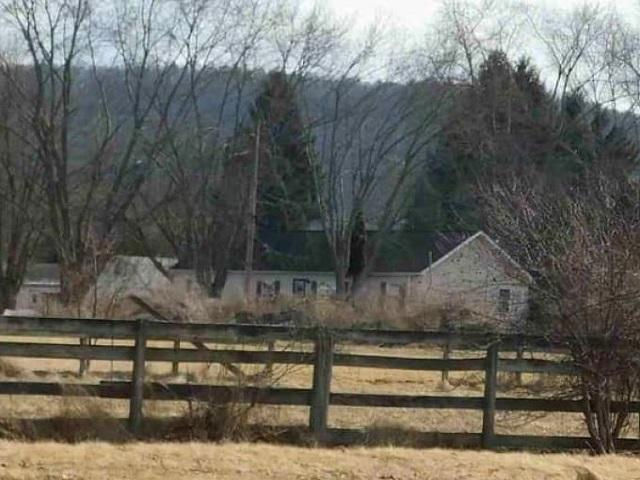 62 HILLVIEW LN  , Tioga, PA 16946 