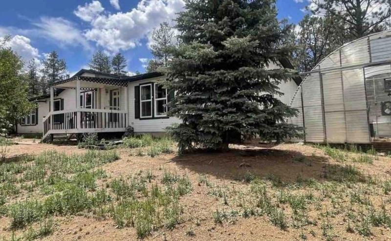 415 FOREST GLEN TRAIL  , Florissant, CO 80816 