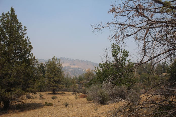 Lot 661 Clark Rd  , Hornbrook, CA 96044 