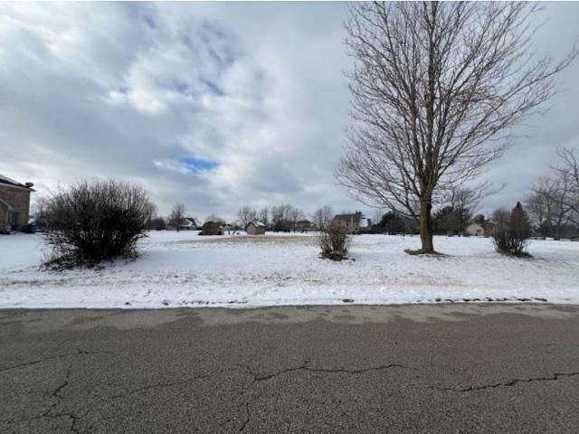 26114 S Victoria Ln  , Crete, IL 60417 