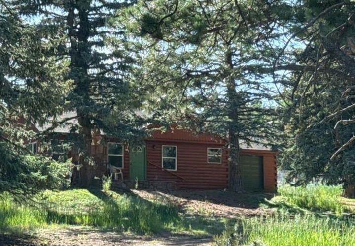 902 S WOODLAND AVE  , Woodland Park, CO 80863 