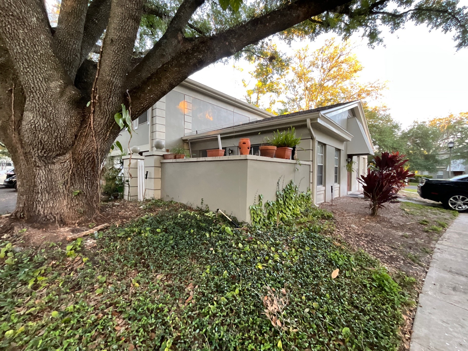 Raintree Dr, Tampa, FL 33617 #1