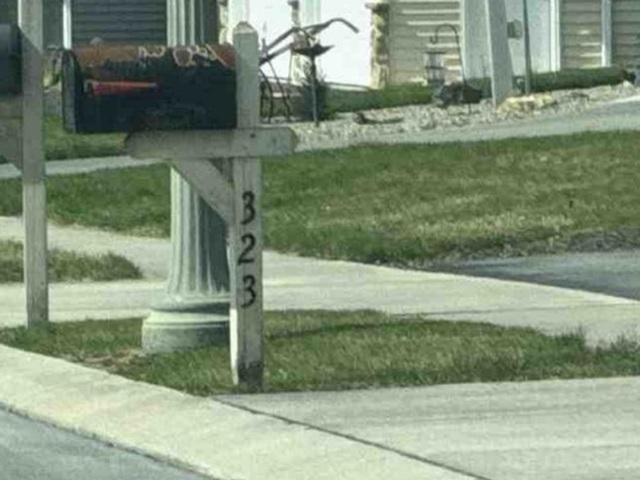 Enterprise Dr, Bird IN Hand, PA 17505 #1