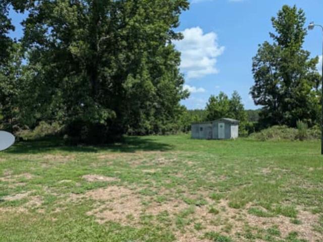 X Way Rd, Gibson, NC 28343 #1