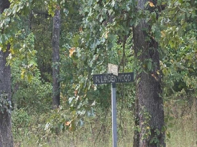 Lindenwood St, Shell Knob, MO 65747