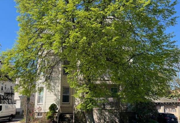 Chestnut St, Lynn, MA 01902