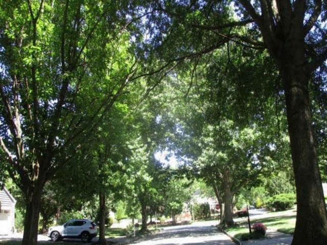 Gates Ct, Princeton Junction, NJ 08550 #1