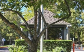 Single Family 5BR 3BA - 743 LIQUIDAMBER PL, Danville, CA