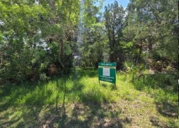 Land - LOT 2 LYNCH LN, Hudson, FL