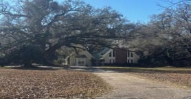 Single Family 4BR 1BA - 25280 COOPERS CEMETERY RD, Robertsdale, AL