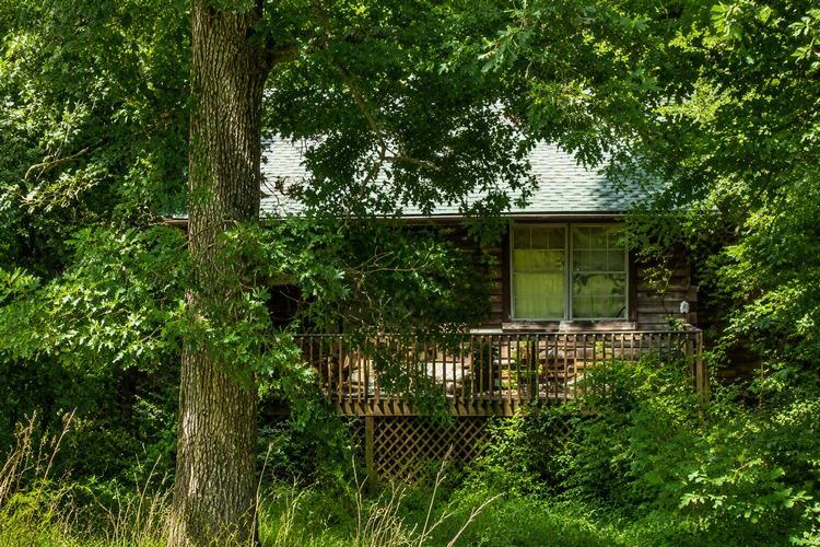 Baldwin Rd, Friendsville, TN 37737 #1