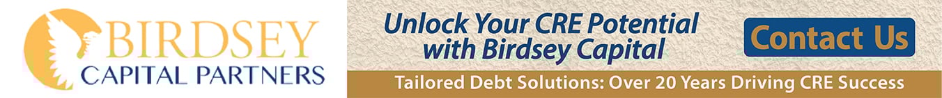 birdsEy